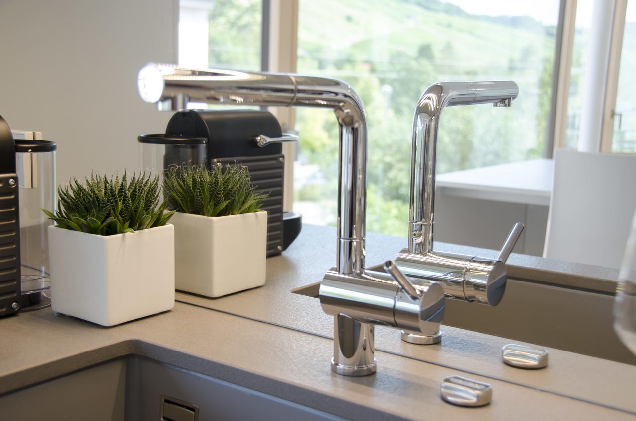 Lumina Apartments Ingelfingen Dış mekan fotoğraf